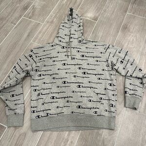 Champion Men’s Hooded Pullover Sweatshirt Size Large Color Gray